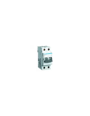 Hager 2p 2-pole 2x25a 10ka C-curve circuit breaker, 2 DIN modules